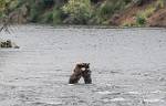 Alaska_650