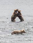 Alaska_653