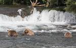 Alaska_655