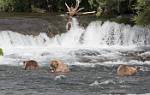 Alaska_656