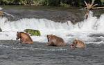 Alaska_657