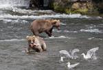 Alaska_659