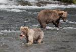 Alaska_660