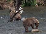 Alaska_661