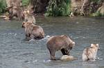 Alaska_662