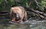 Alaska_663