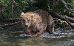 Alaska_664