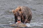 Alaska_665