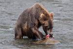 Alaska_666