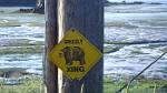 Alaska_684
