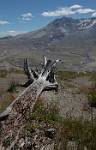 Oregon_020