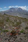 Oregon_021
