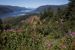 Oregon_023