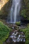 Oregon_026