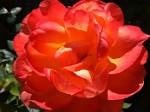 Oregon_045