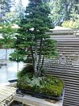 Oregon_058