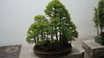 Oregon_060
