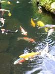 Oregon_063