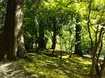 Oregon_066