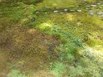 Oregon_068