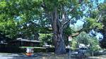 Oregon_087