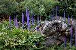 Oregon_152