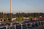 Oregon_210