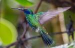 Peru_079