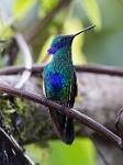 Peru_080