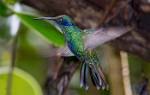 Peru_081