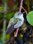 Peru_082