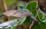 Peru_083