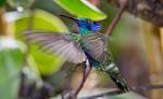 Peru_084