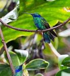 Peru_085