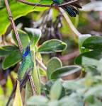 Peru_086