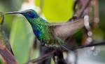 Peru_087
