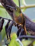 Peru_088