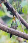 Peru_090