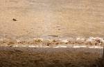 Peru_1077