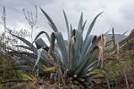 Peru_111