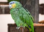 Peru_112