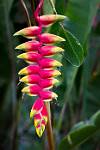 Peru_113