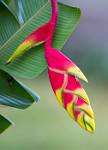 Peru_114