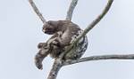 Peru_1140
