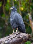 Peru_1145