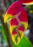 Peru_115
