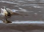 Peru_1226