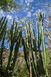Peru_125