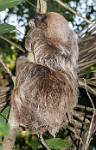 Peru_1277