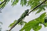 Peru_1289